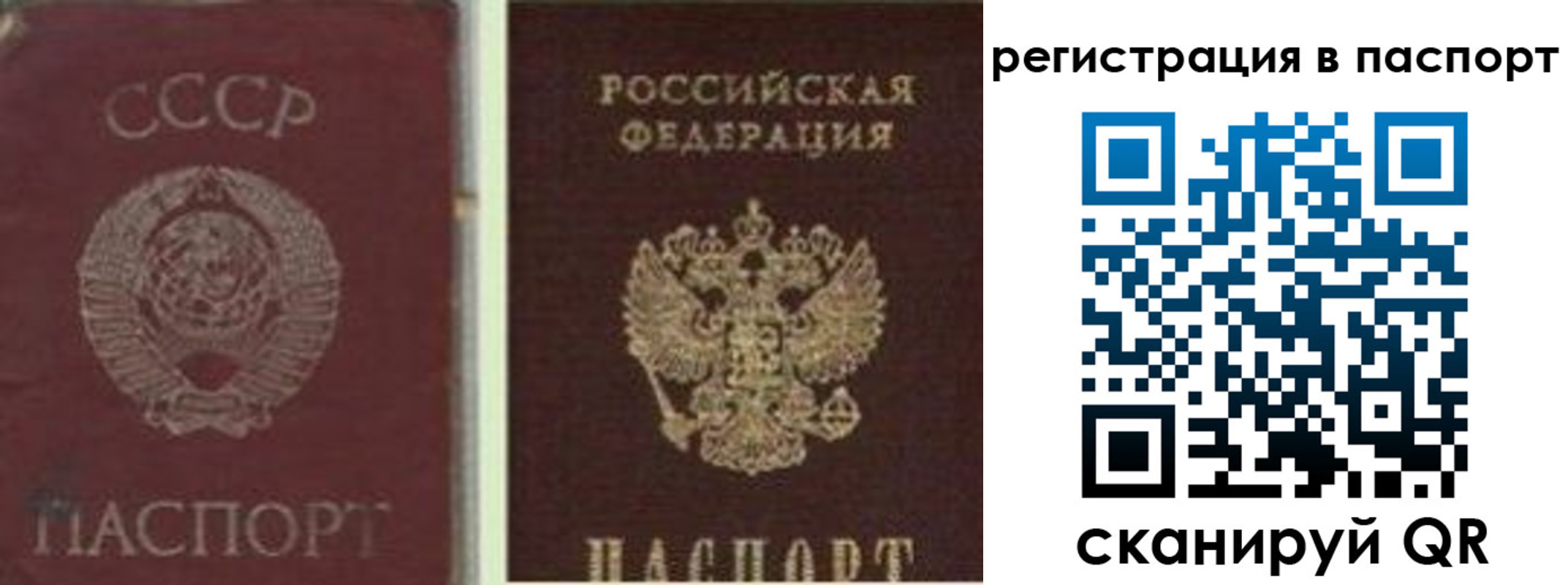 прописка для работы в Сорочинске